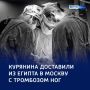 Время — на вес золота: курянина вернули из Египта для срочного лечения