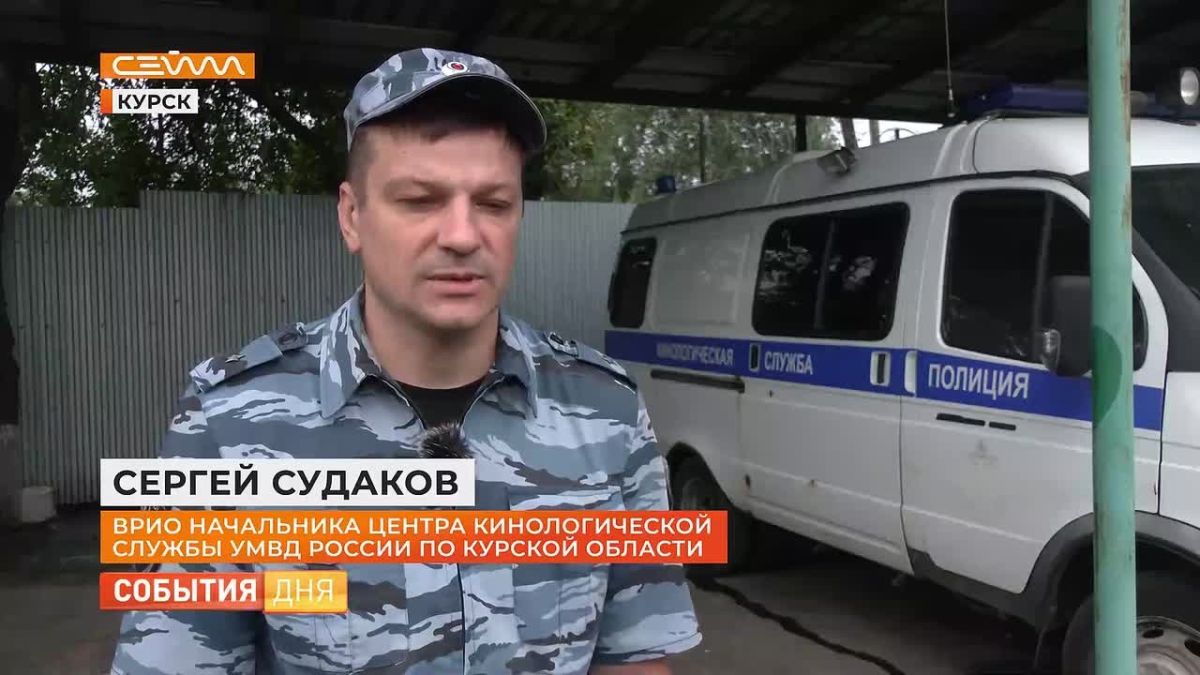 Год назад они учились крепко стоять на четырёх лапах, а сегодня находят пропавших людей и раскрывают кражи
