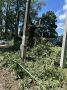 � ���� ������������ ��������� ������ ���������������� ���� 41 �� ��. ��������������� �. ������ ��������������� �������� ���������� ������� ������� � ����� ��� �� "��������" ���� ��������� ��������������� � �������������...