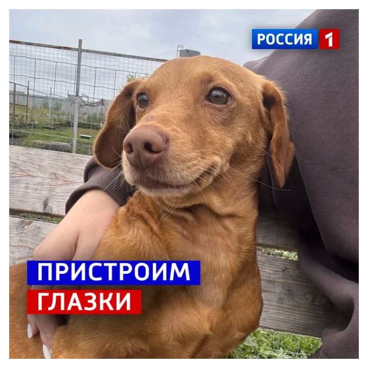 30 июля, четверг. Сегодня Международный день дружбы