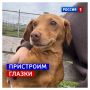 30 июля, четверг. Сегодня Международный день дружбы