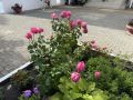 Доброго утра!. Сегодня, в пятницу, 31 июля, по прогнозу регионального отделения МЧС в Курской области ожидается переменная облачность
