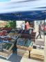 На этой неделе администрация Центрального округа города Курска провела выездное мероприятие, направленное на пресечение незаконной торговли