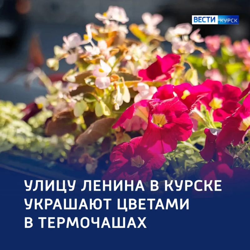 Цветущий город: в центре Курска устанавливают новые термочаши