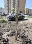 Алексей Томанов: Очередная предвыборная кампания как всегда начинается с провокации оппонентов
