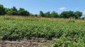 Знакомьтесь с первыми участниками конкурса «АгроЭкоСоревнования УДача»!