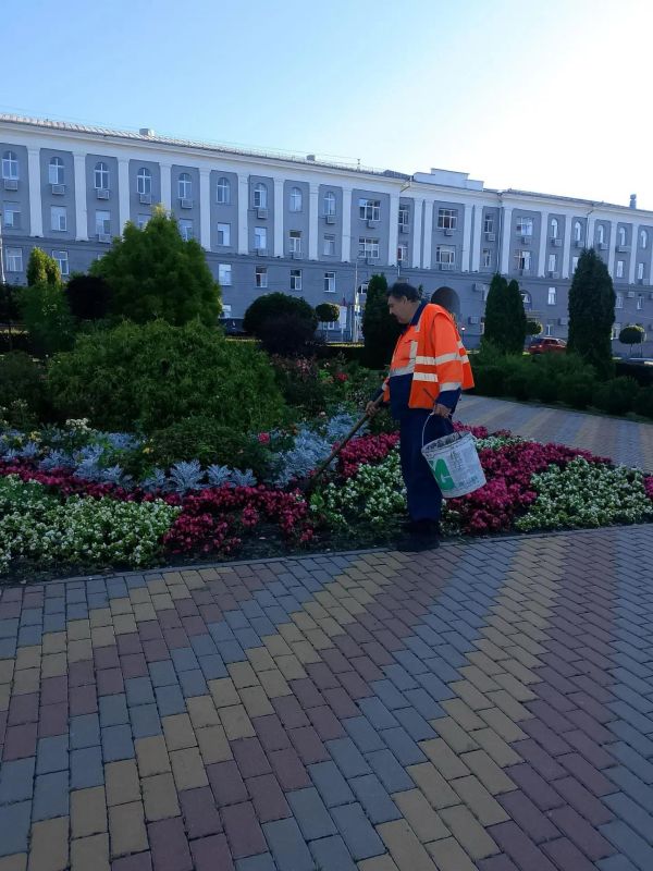 За неделю из парков, скверов и других общественных зон областного центра вывезено более 75 тонн мусора