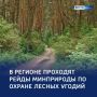 Штрафной счет: протоколы — браконьерам