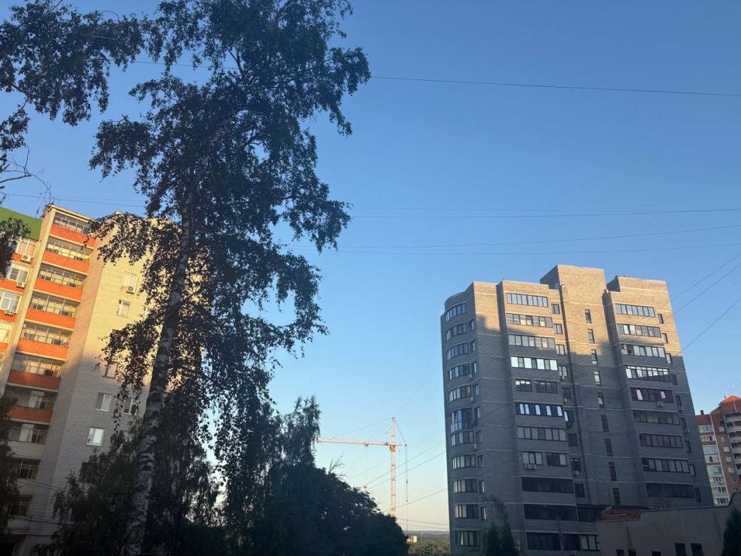 До +33° без осадков ожидается в Курской области 2 августа