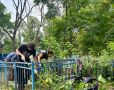 На Никитском кладбище в Курске прошел очередной субботник