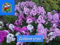 ДОБРОЕ УТРО. Сегодня понедельник, и впереди нас ждёт насыщенная рабочая неделя