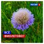 3 августа, понедельник. Если вас кто-то игнорирует — возможно, этот человек просто верит в народные приметы