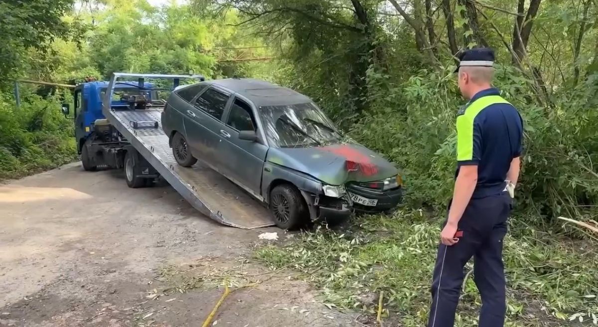 Пьяный курянин угнал у собутыльника ВАЗ и врезался на нем в дерево