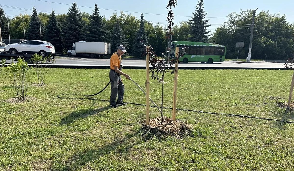 В парках Курска продолжаются уходовые работы и покос травы