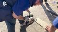 ������� ������ ����� � ����� ������
