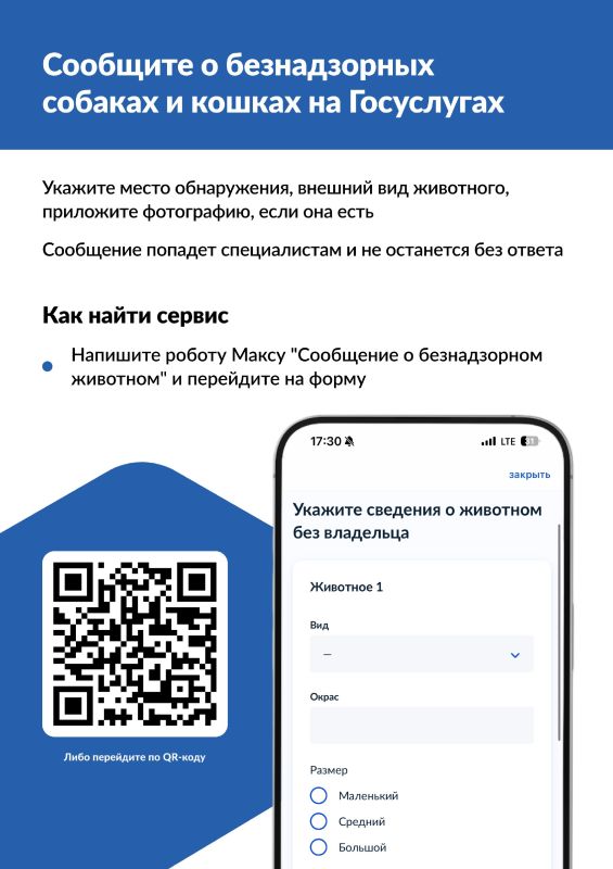 Сообщаем о запуске сервисов «Отлов безнадзорных животных» и «Запись на прием в госветклинику»