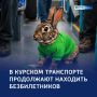 ������� ����������: ����� ������ ������� � ���������� �� ����