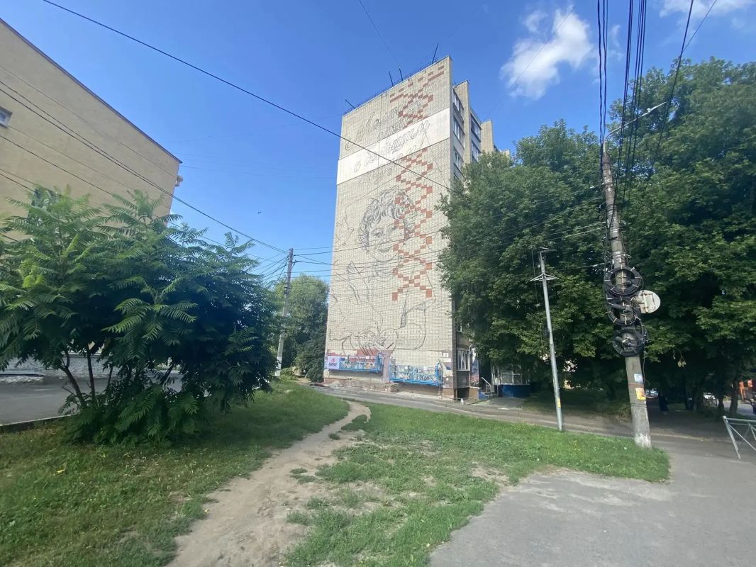 В Курске на торце дома №2 по улице Ямская, рядом с центром досуга "Юность", рисуют мурал в память о погибшем при атаке ВСУ на городской пляж 5-летнем Толе Минашкине