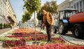 В Курске рабочие активно ухаживают в жару за зелеными насаждениями