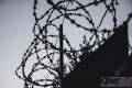 Волонтер отправится в колонию за перевозку взрывчатки в Курской области