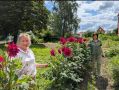 В посёлке Камыши прошла творческая мастерская «Я и моя дача», приуроченная к празднику «День великолепной бабушки»