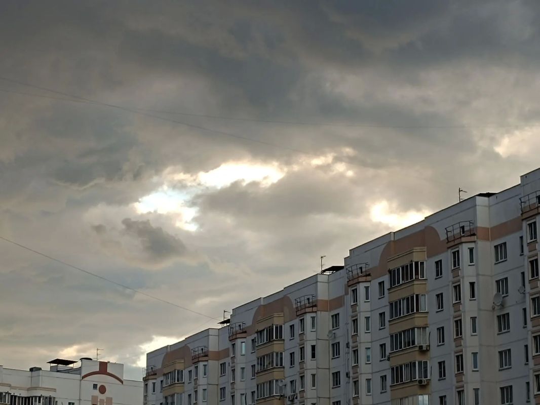 До +31°, дожди и ливни с грозами ожидаются в Курской области 8 августа
