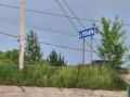 В Курской области нашли 55 новых очагов с сорняками