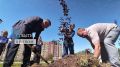 Блок «Политика 46» — посмотрим на Курскую область с точки зрения выбора будущего