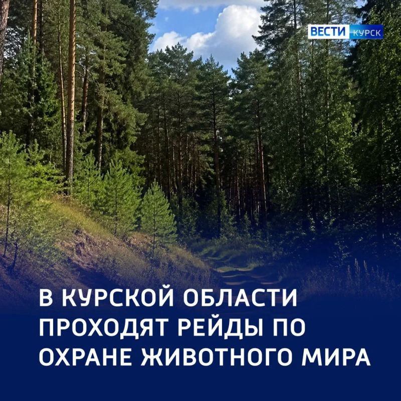 На страже природы: один протокол — за неделю