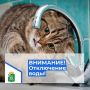 ВНИМАНИЕ!. Уважаемые жители поселка Прямицыно! Администрация поселка Прямицыно сообщает, что 10 августа 2026 года с 10 ч. 00 мин. до 17 ч. 00 мин будет временно прекращена подача холодной воды
