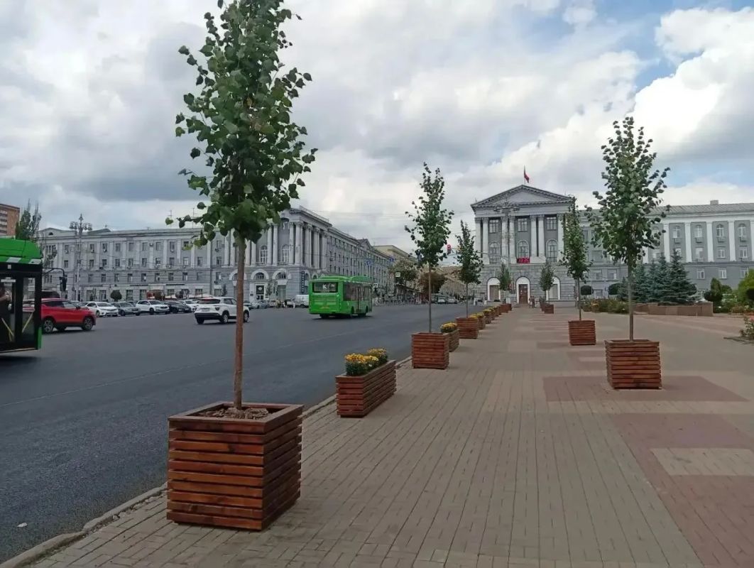 Липы из кашпо на Красной площади и улице Ленина пересадят осенью