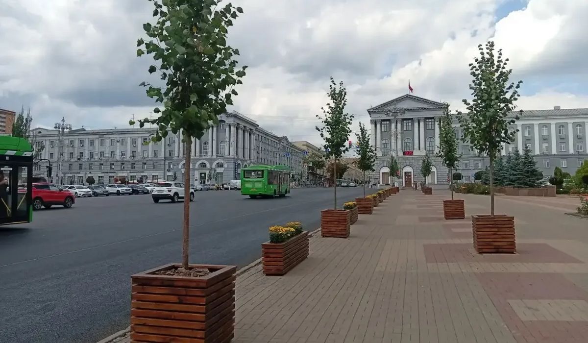 Липы из кашпо в Курске пересадят в грунт осенью