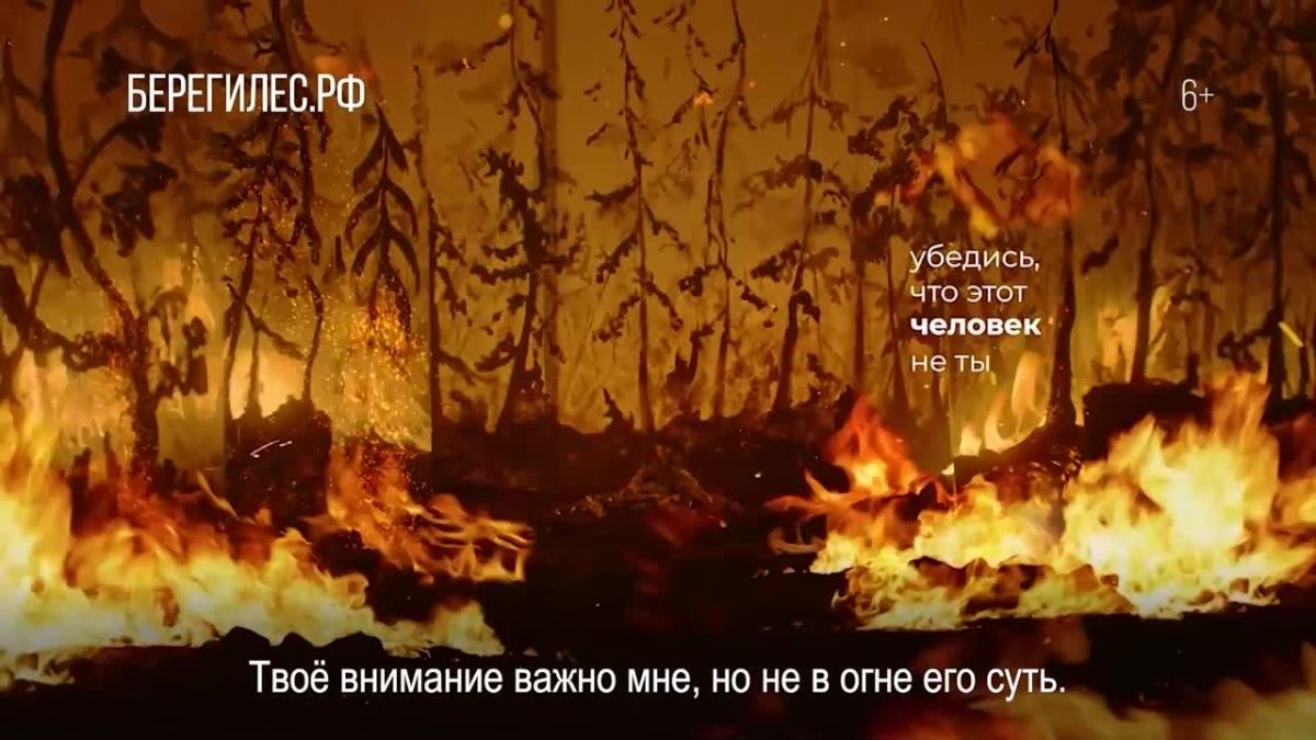 В случае обнаружения лесного пожара необходимо сообщить в региональный диспетчерский пункт: 8-4712-53-04-25 либо по номеру единой федеральной телефонной прямой линии лесной охраны: 8-800-100-94-00
