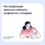 ���������� �������� � ��������������� ���� ������� � ������������� �������������