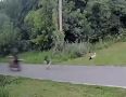 � ������� ������� ������� ����� ���������, ���������� �������� ��������