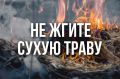 �������� ����� ����� ��� ��������