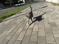 ������ ����!. �������, � �������, 13 ������� �� �������� ������������� ��������� ��� ��������� ���������� ����������