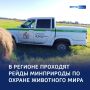 Неделя охраны: рейды, подкормка и статистика нарушений