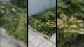 Продолжаем знакомить вас с участниками конкурса «АгроЭкоСоревнования УДача»!