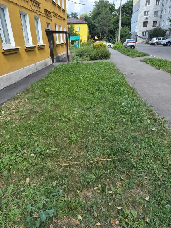 В ходе рассмотрения обращений, по поручению государственной жилищной инспекции Курской области ООО УК "Феникс" выполнены работы по покосу сорной растительности и приведению придомовой территории дома 2 по ул. 1-ая Рабочая...