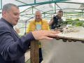 Александр Хинштейн посетил улиточную ферму в Фатежском районе