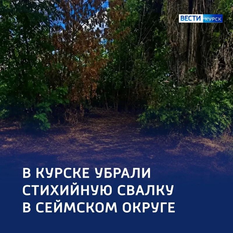 Чистый поворот: в Сеймском округе Курска ликвидировали стихийную свалку