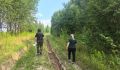 Курские лесные инспекторы выявили 17 нарушений с начала года