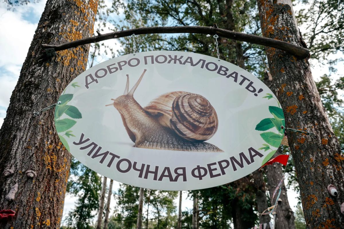 Губернатор Курской области Александр Хинштейн посетил в деревне Поздняково Фатежского района улиточную ферму «Курская улитка», которую открыли в 2023 году