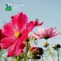 Доброе утро!. Сегодня преимущественно ясно, +28°C, без осадков