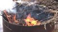 В Курской области с 20 августа планируют ввести особый противопожарный режим