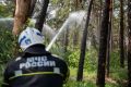 В Курской области 20 августа могут ввести особый противопожарный режим