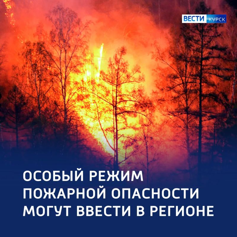 Огонь ближе: в регионе планируют ввести особый противопожарный режим