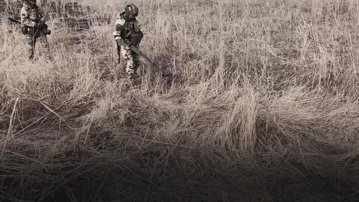 Подробную информацию о порядке поступления на военную службу по контракту можно получить в районном комиссариате или областном пункте отбора в Курске на ул.Союзной,35. По всем интересующим вопросам следует обращаться по...