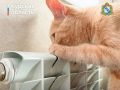 В Курске прокуратура вынесла предостережения руководителям 50 управляек из-за подготовки к отопительному снзону